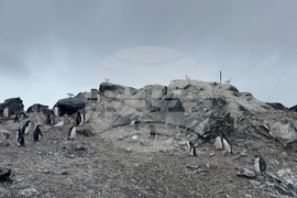 Antarctica - 34th Bulgarian Antarctic Expedition - Research Vessel Sv. Sv. Kiril I Metodii