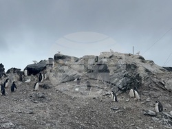 Antarctica - 34th Bulgarian Antarctic Expedition - Research Vessel Sv. Sv. Kiril I Metodii