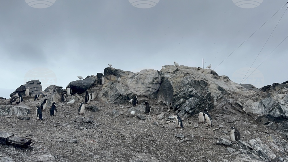 Antarctica - 34th Bulgarian Antarctic Expedition - Research Vessel Sv. Sv. Kiril I Metodii