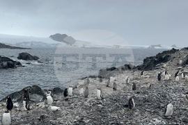 Antarctica - 34th Bulgarian Antarctic Expedition - Research Vessel Sv. Sv. Kiril I Metodii