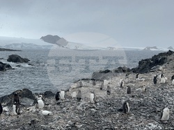 Antarctica - 34th Bulgarian Antarctic Expedition - Research Vessel Sv. Sv. Kiril I Metodii