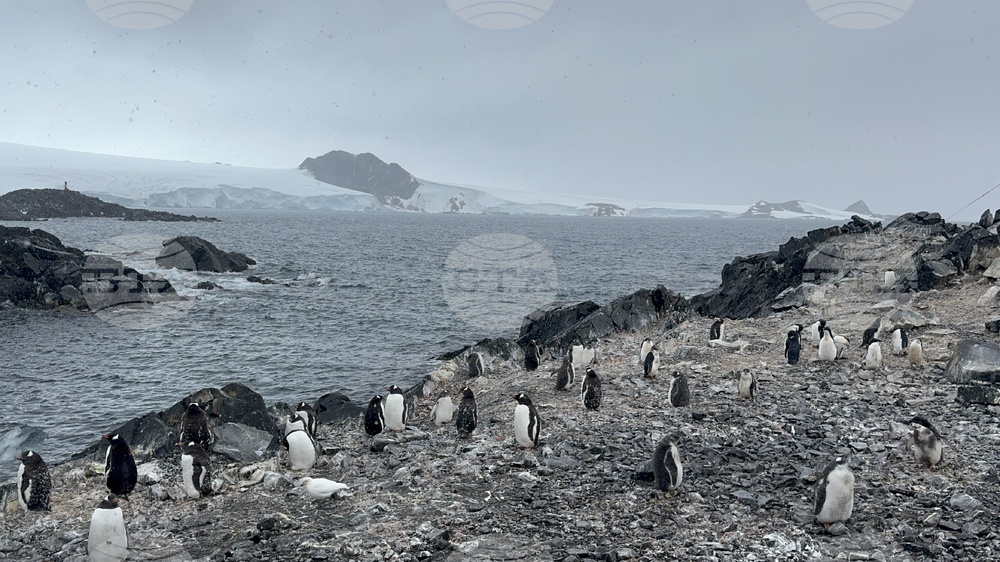 Antarctica - 34th Bulgarian Antarctic Expedition - Research Vessel Sv. Sv. Kiril I Metodii
