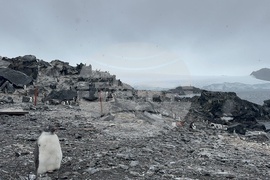 Antarctica - 34th Bulgarian Antarctic Expedition - Research Vessel Sv. Sv. Kiril I Metodii