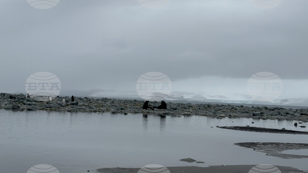Antarctica - 34th Bulgarian Antarctic Expedition - Research Vessel Sv. Sv. Kiril I Metodii