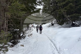 Курортен комплекс Мальовица - хижа „Мальовица“