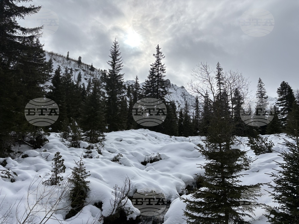 Курортен комплекс Мальовица - хижа „Мальовица“