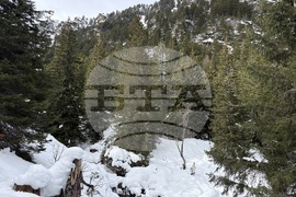 Курортен комплекс Мальовица - хижа „Мальовица“