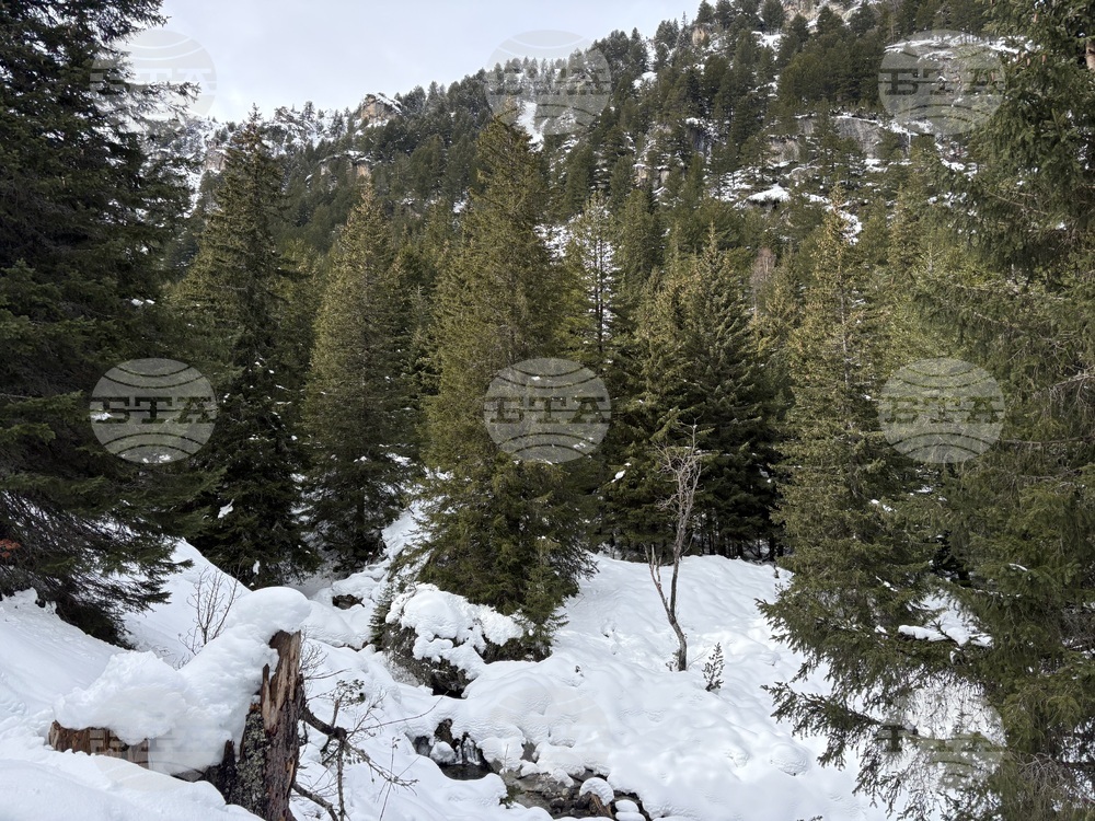 Курортен комплекс Мальовица - хижа „Мальовица“