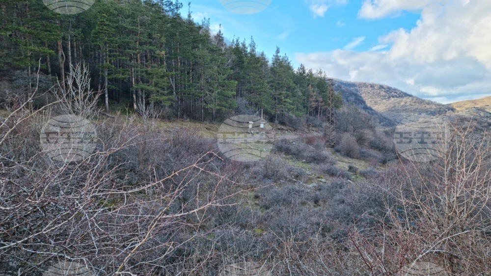 Връх Околчица - полиция - отцепен район