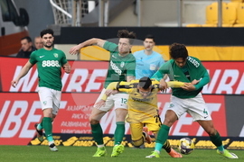 Пловдив - футбол - Ботев (Пловдив) - Берое (Стара Загора)