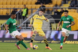 Пловдив - футбол - Ботев (Пловдив) - Берое (Стара Загора)