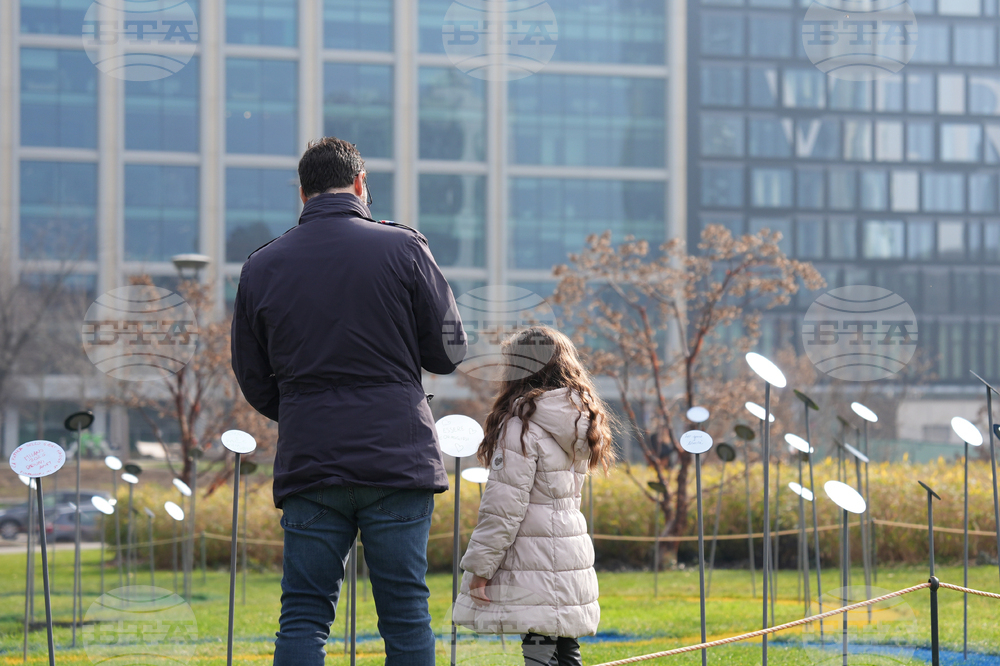 Milan Cortina Olympics Park Installation