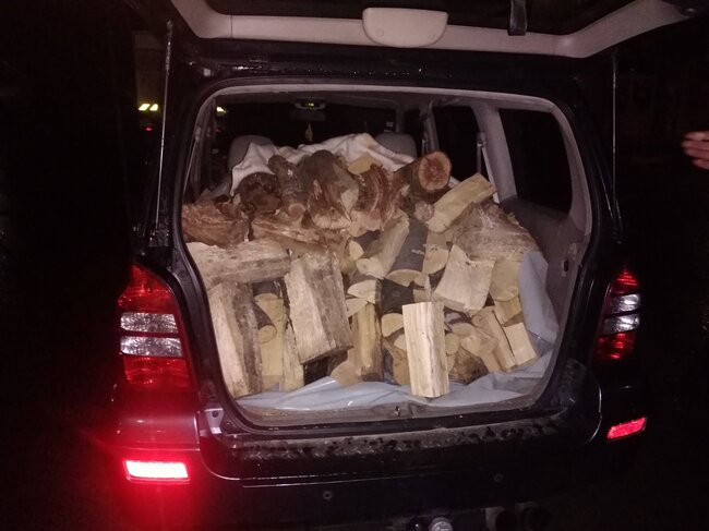 Изпълнителна агенция по горите: Джип с незаконна дървесина задържаха горски и полиция в с. Искрец