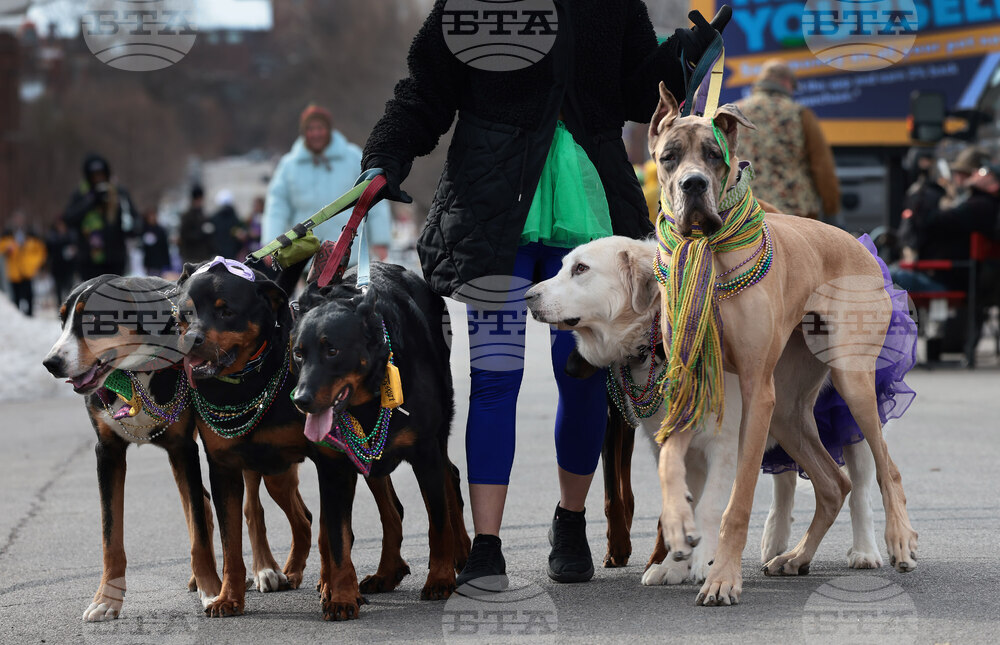 33rd Annual Purina Pet Parade