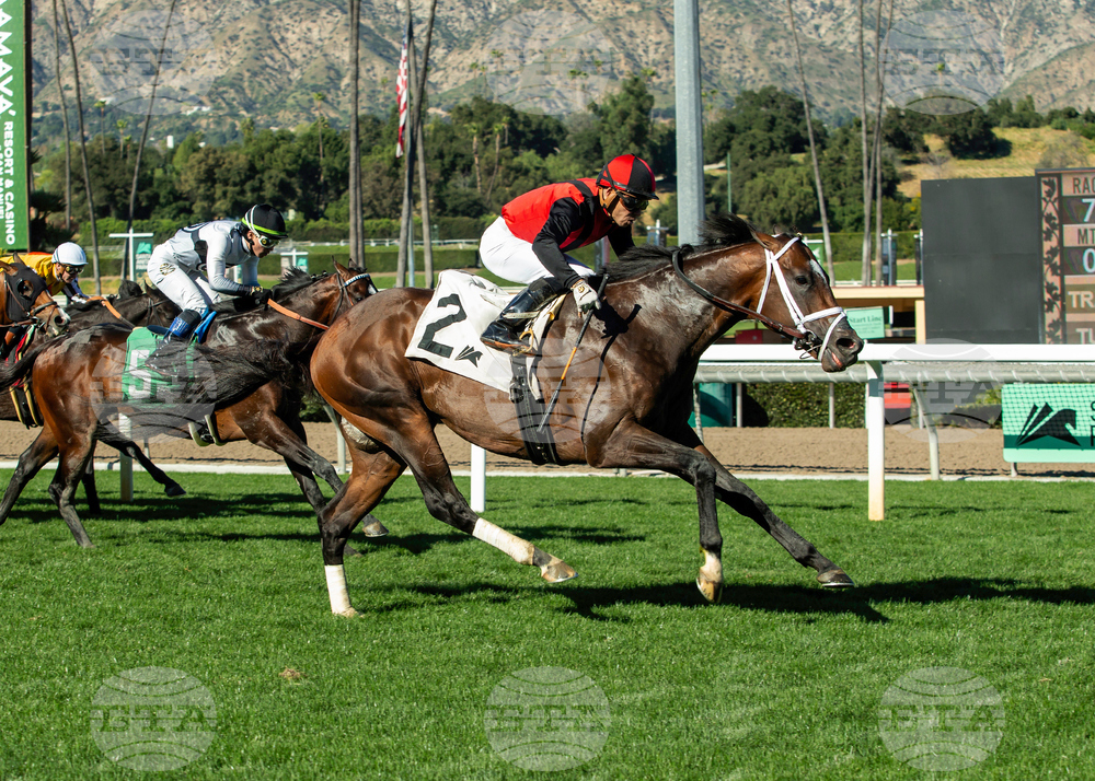 Santa Anita Horse Racing