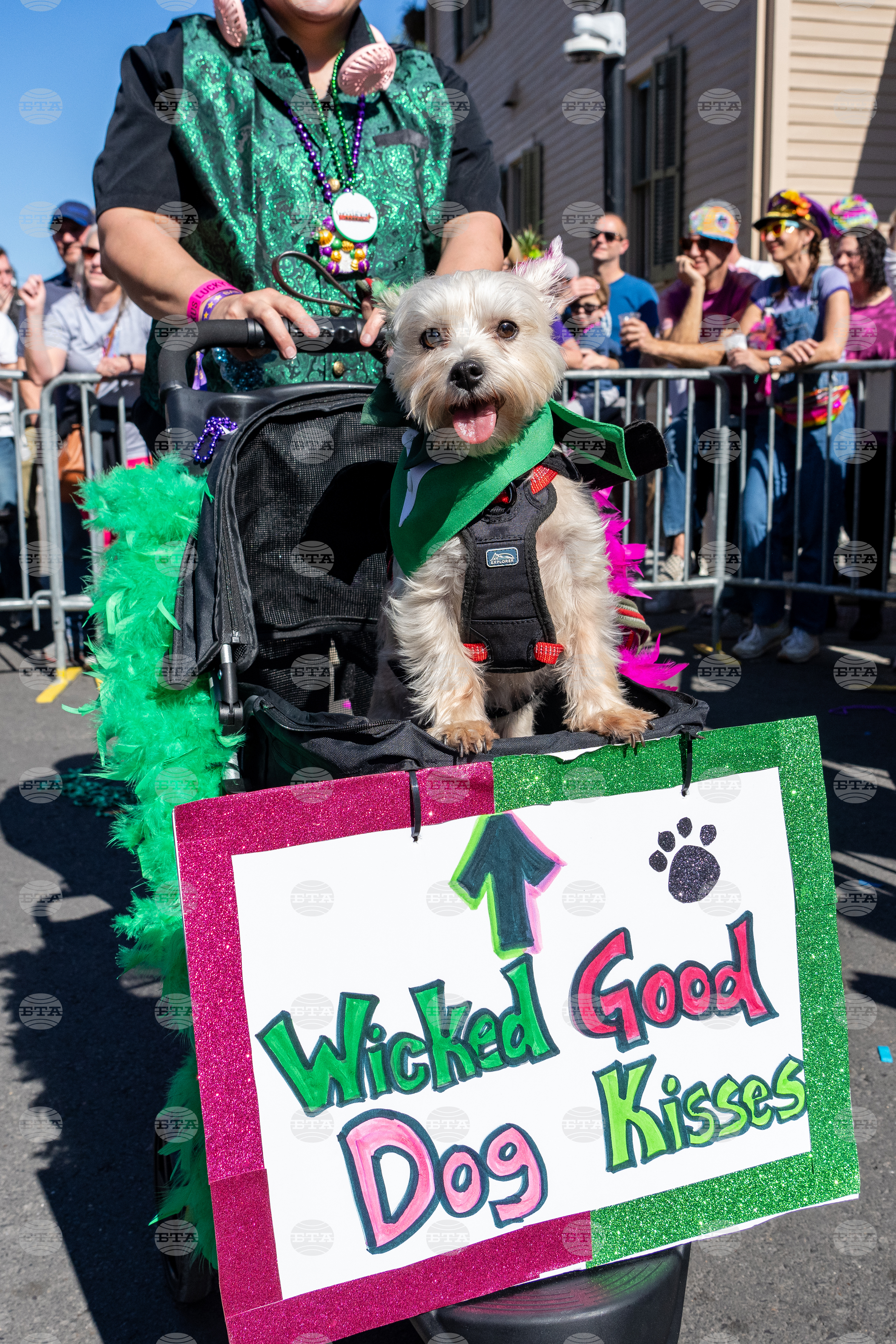 2026 Mardi Gras Parades