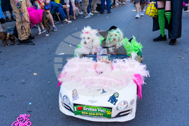 2026 Mardi Gras Parades