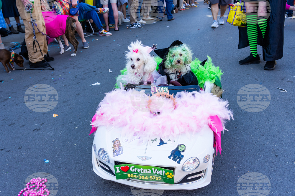 2026 Mardi Gras Parades
