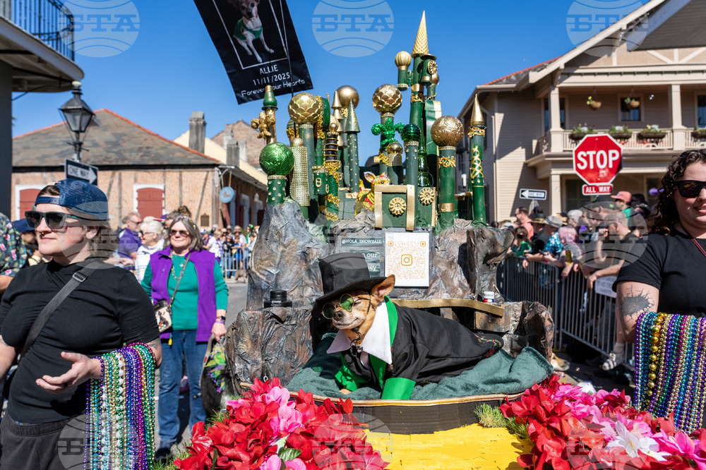 2026 Mardi Gras Parades