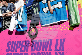 Super Bowl Football