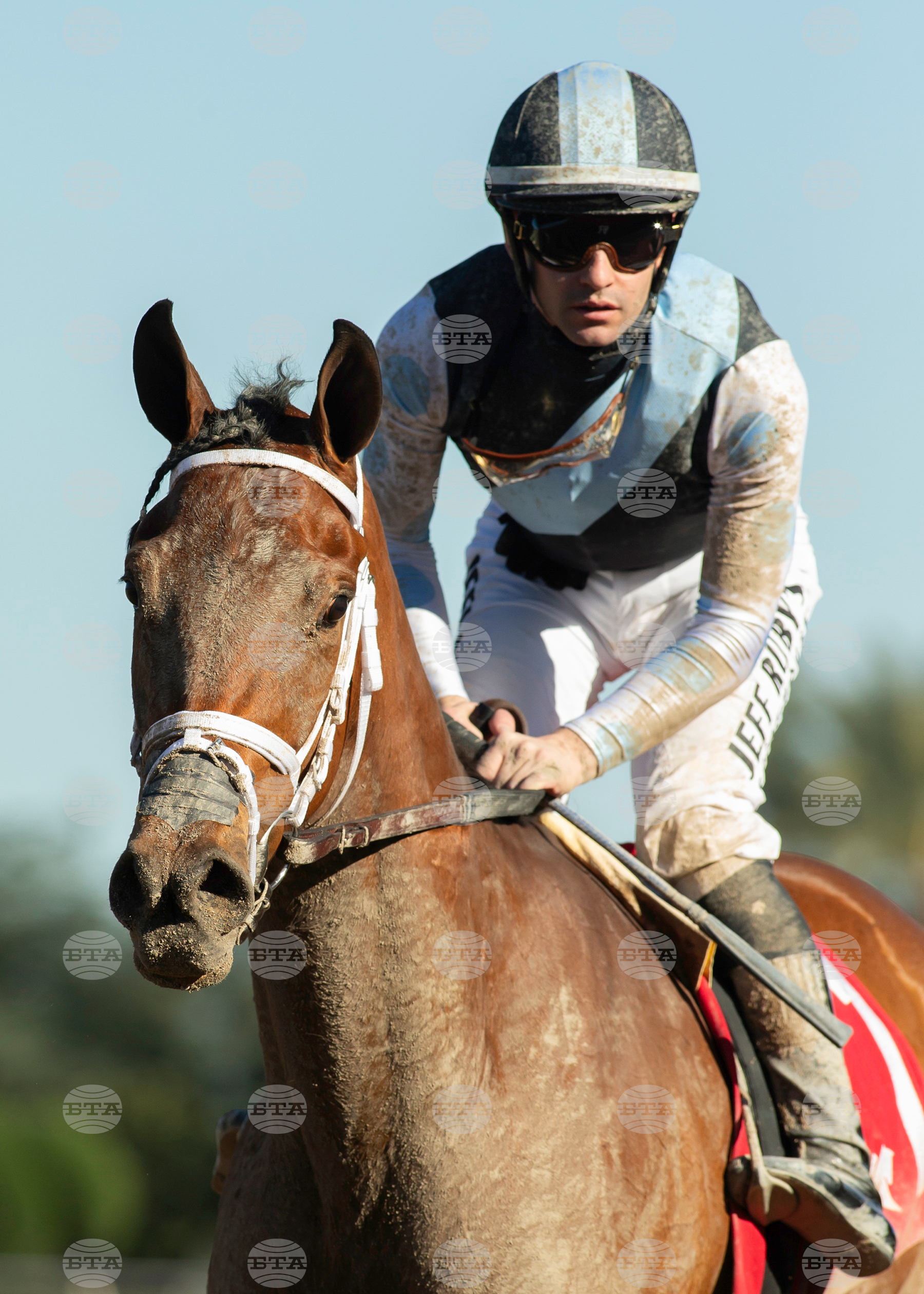 Santa Anita Horse Racing