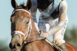 Santa Anita Horse Racing