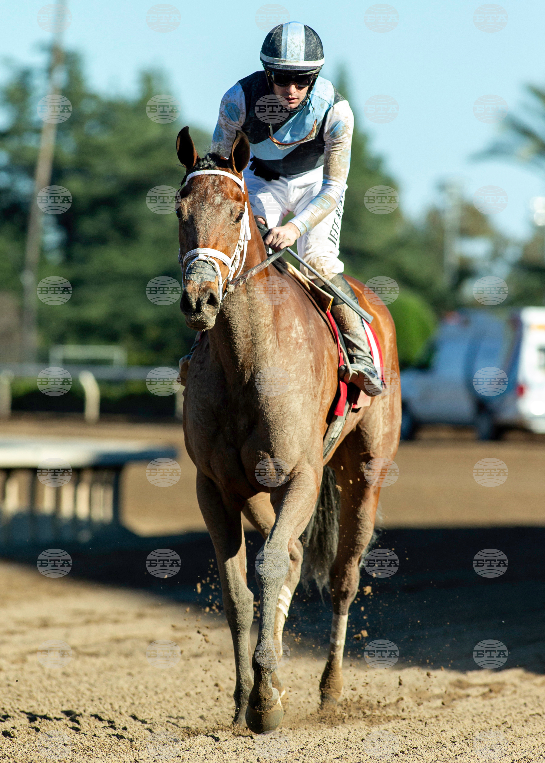 Santa Anita Horse Racing