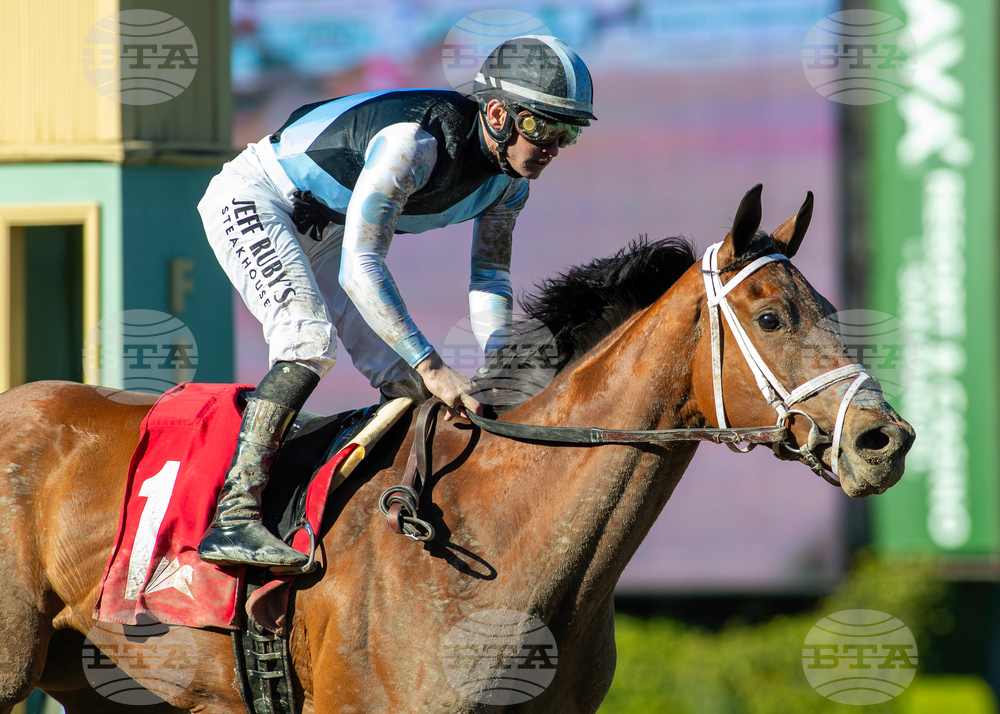 Santa Anita Horse Racing