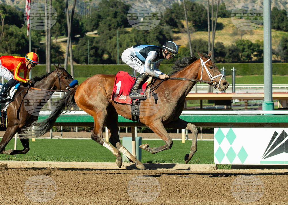 Santa Anita Horse Racing