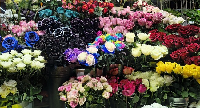 1159 старозагорци празнуват на Св. Харалампий