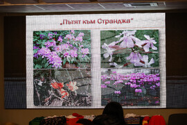 Бургас - фолклор - "Пътят към Странджа"