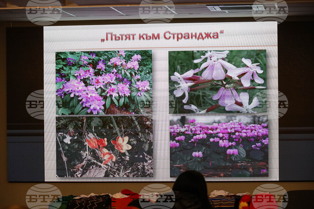 Бургас - фолклор - "Пътят към Странджа"