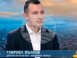 Снимка: БСП