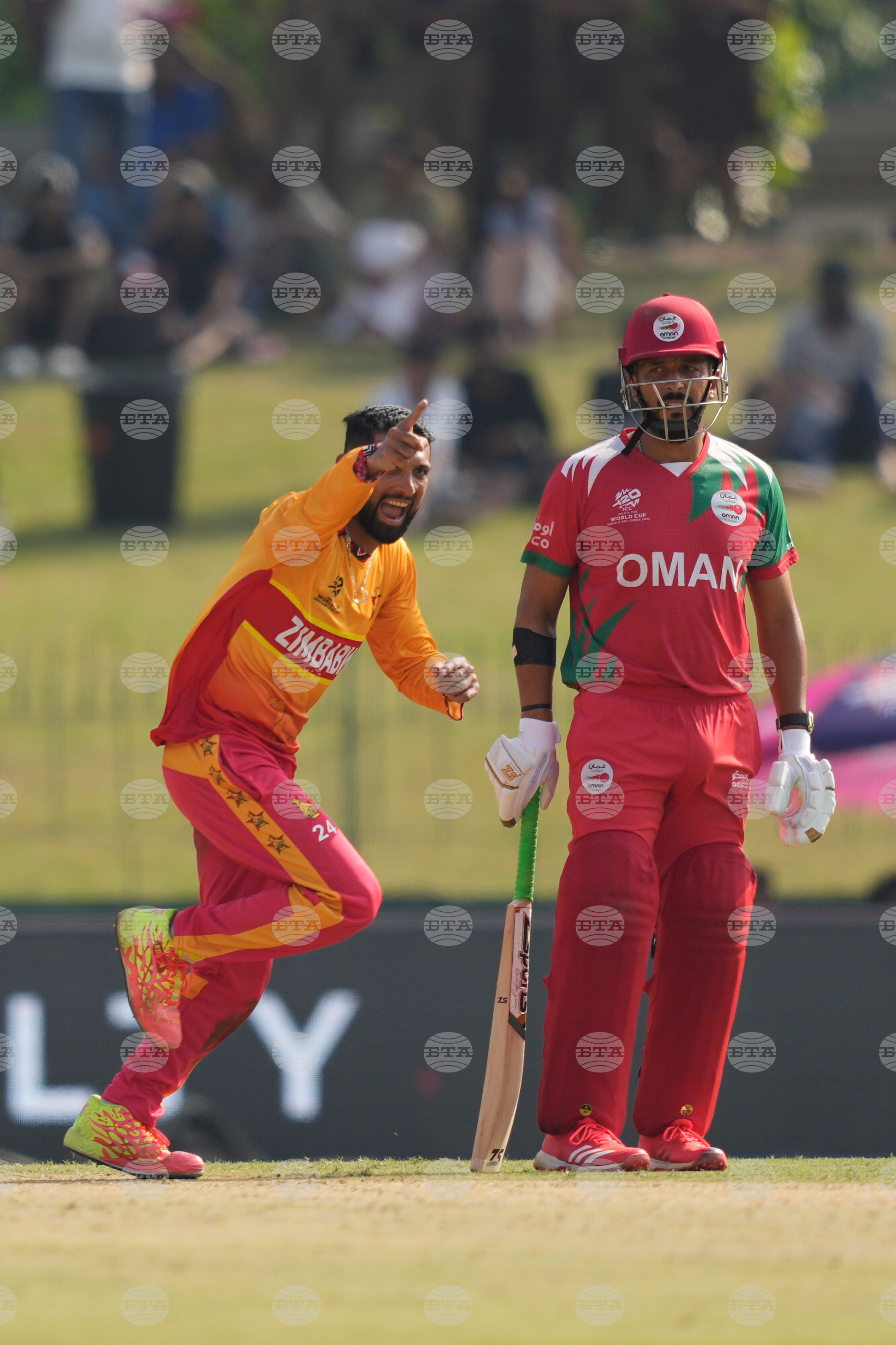 Oman Zimbabwe T20 WCup Cricket