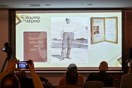 Пловдив - „Фондация Жълто и Черно" - Никола Щерев-Старика