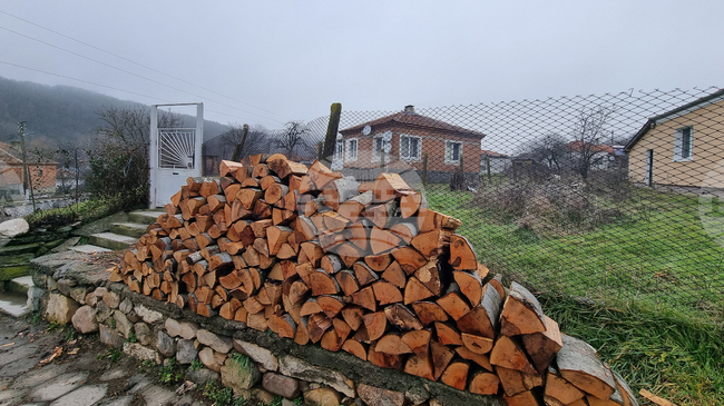 Десет нарушения са установени при проверка за незаконна дървесина в община Котел
