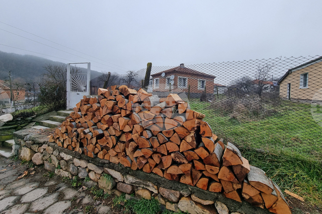 Десет нарушения са установени при проверка за незаконна дървесина в община Котел
