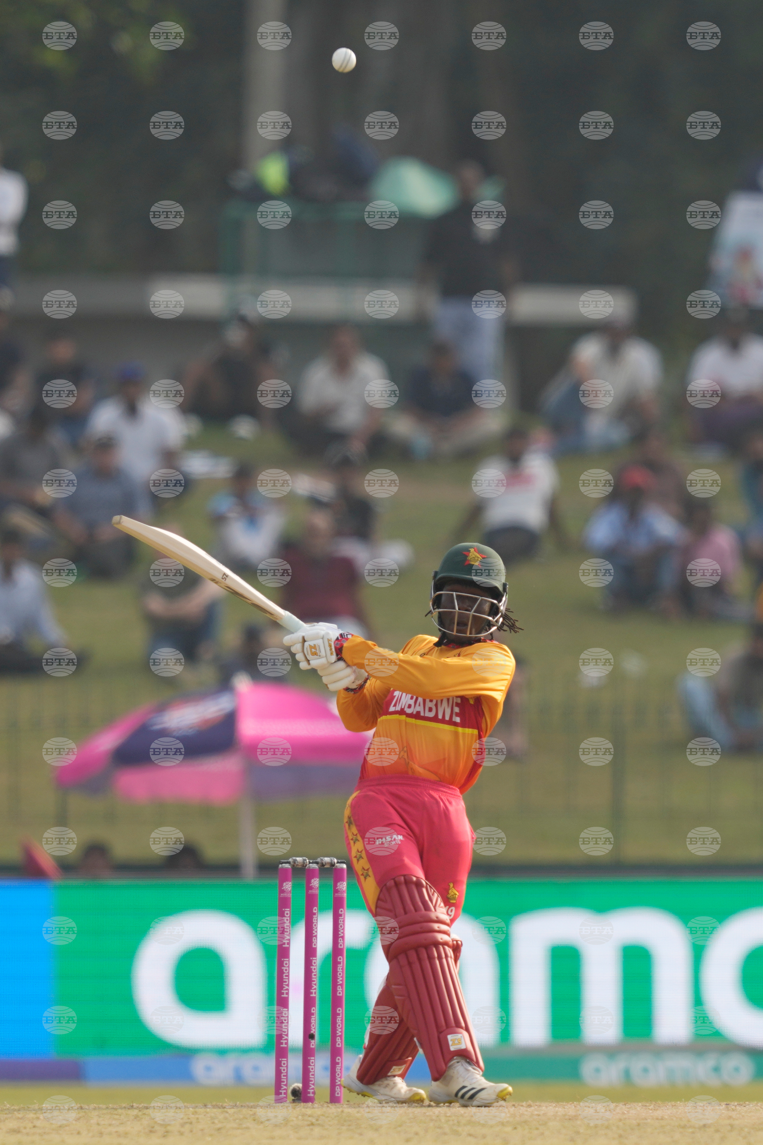 Oman Zimbabwe T20 WCup Cricket