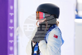 Milan Cortina Olympics Freestyle Skiing