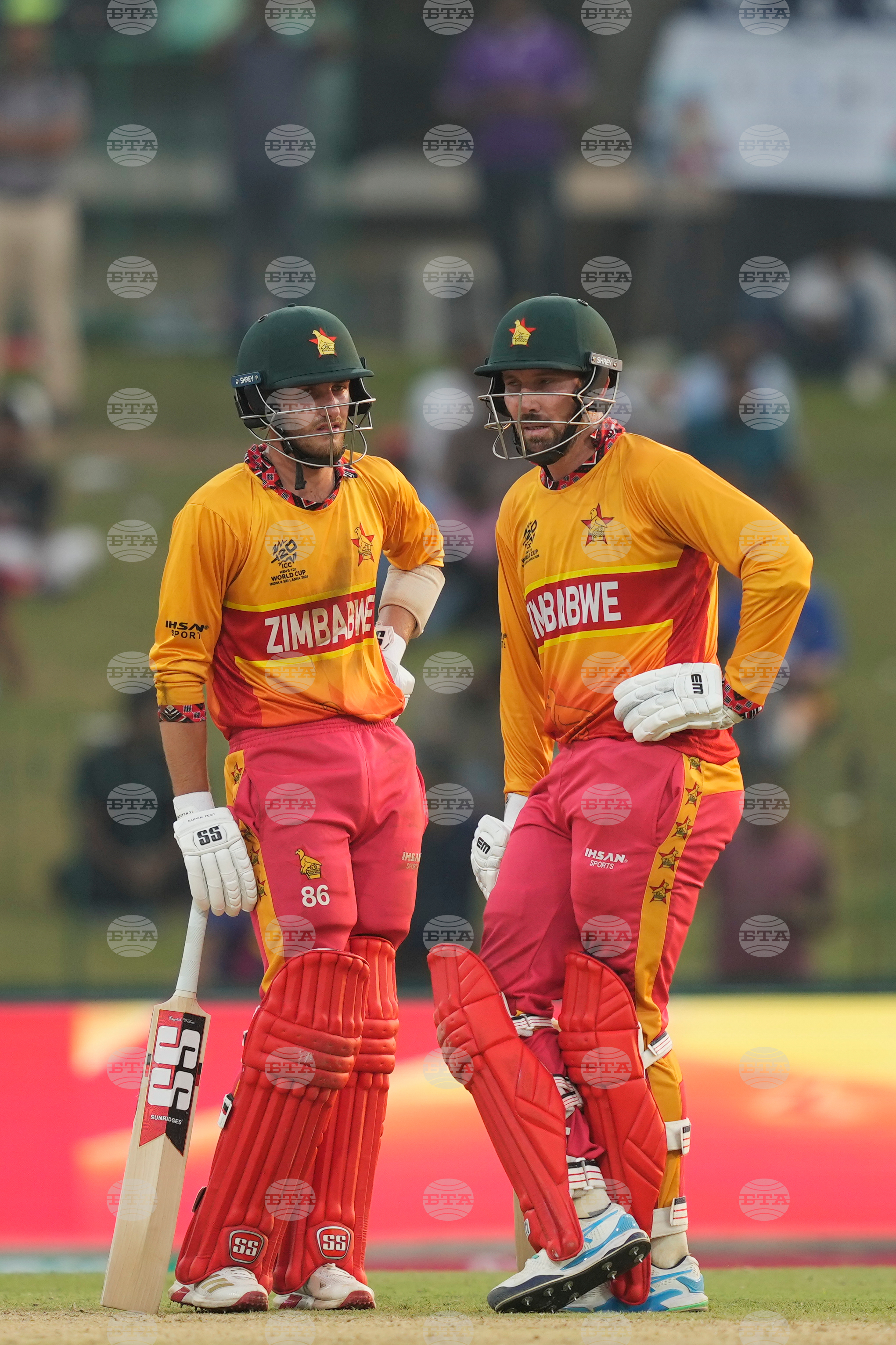 Oman Zimbabwe T20 WCup Cricket