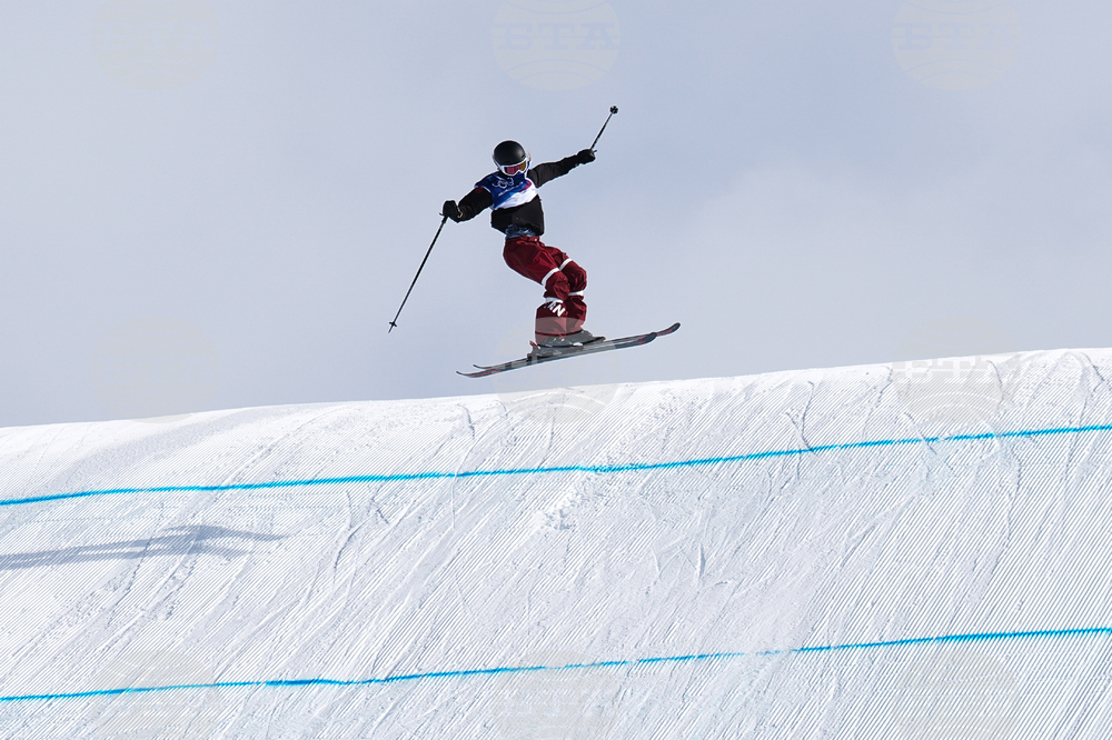 Milan Cortina Olympics Freestyle Skiing