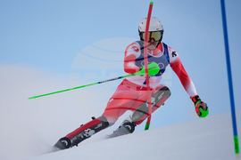 Milan Cortina Olympics Alpine Skiing
