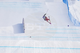 Milan Cortina Olympics Freestyle Skiing