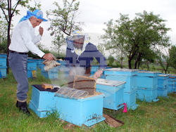 Село Родопи - пчелари - сбирка на открито  