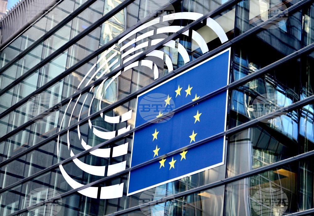 EP Rapporteur Urges North Macedonia to Accelerate Reforms amid EU Accession Talks