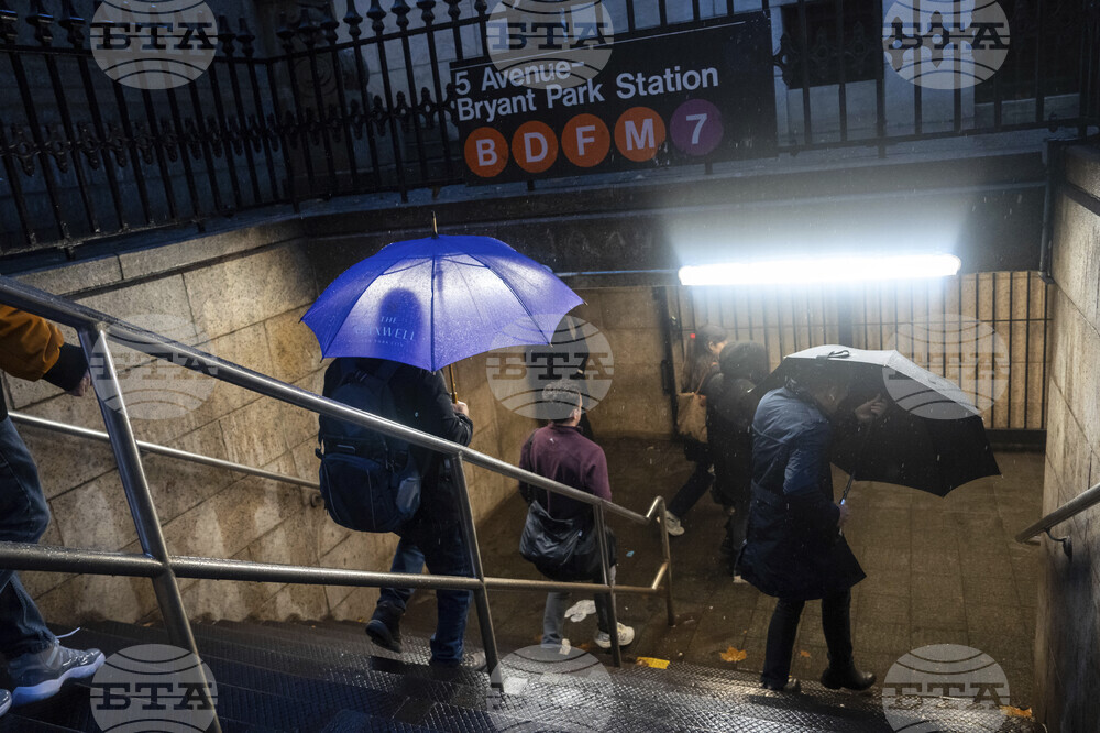 Световни куриози: през 2012 г. учредяват конкурс за снимка на най-страшния плъх в нюйоркското метро