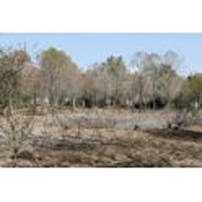 КНА: Сушата е най-значимият риск за кипърската икономика според Кипърския съвет за икономика и конкурентоспособност