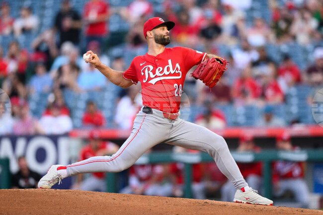Rays-Nick Martinez Baseball