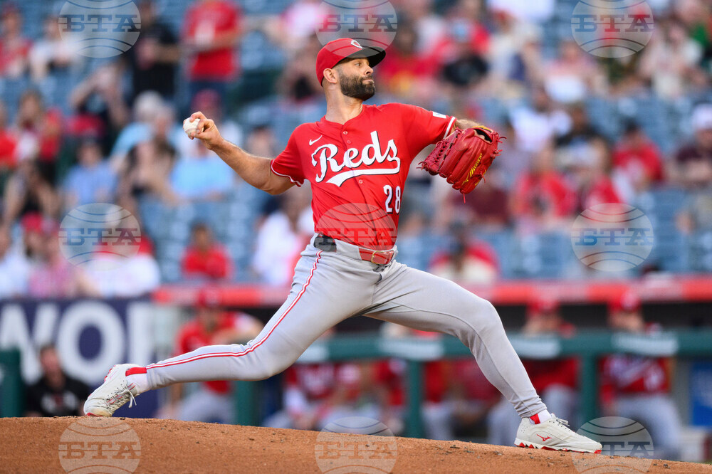 Rays-Nick Martinez Baseball