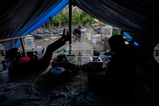 Climate India Migratory Beekeepers